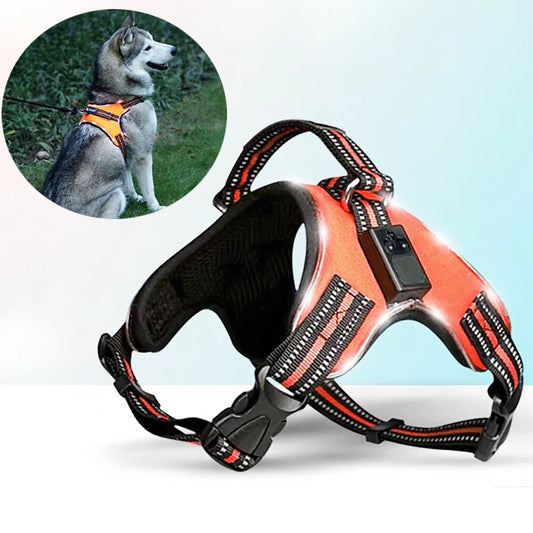 Rechargeable LED Harness for Pets Dog Tailup Nylon Led Flashing Light Dog Harness Collar Pet Safety Leash Belt Dog Accessories